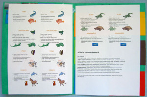 lapbook, vrecuskove aktivity. montessori