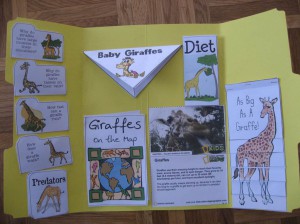 Montessori lapbook