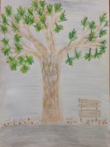 Stromy 2017 - Smrekovec opadavý
