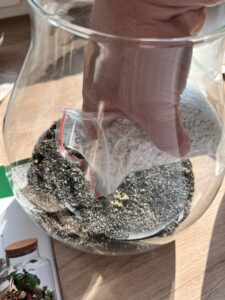 nadoba na rastlinne terarium rastlinne terarium rastlinne terarium cena rastlinne terarium navod rastlinne terarium predaj rastlinne terarium starostlivost rastliny do teraria rastliny vhodne do teraria terarium rastlinne uzavrete rastlinne terarium zatvorene rastlinne terarium zive rastliny do teraria