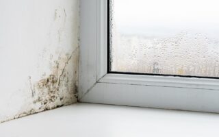 vlhke mury, vlhke seny, nater proti vlhkosti muriva