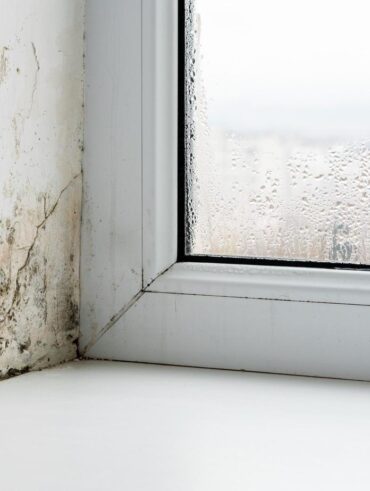 vlhke mury, vlhke seny, nater proti vlhkosti muriva